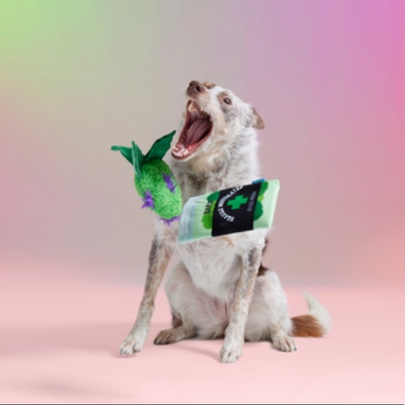 Bud in a Baggie Dog Toy - Picture 3 of 4